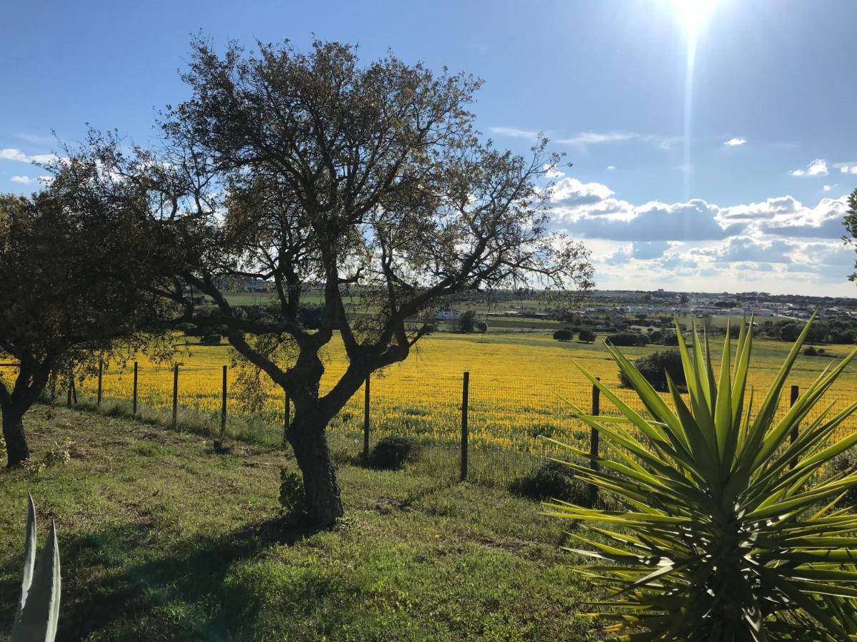 Quinta Da Colina Βίλα Έβορα Εξωτερικό φωτογραφία